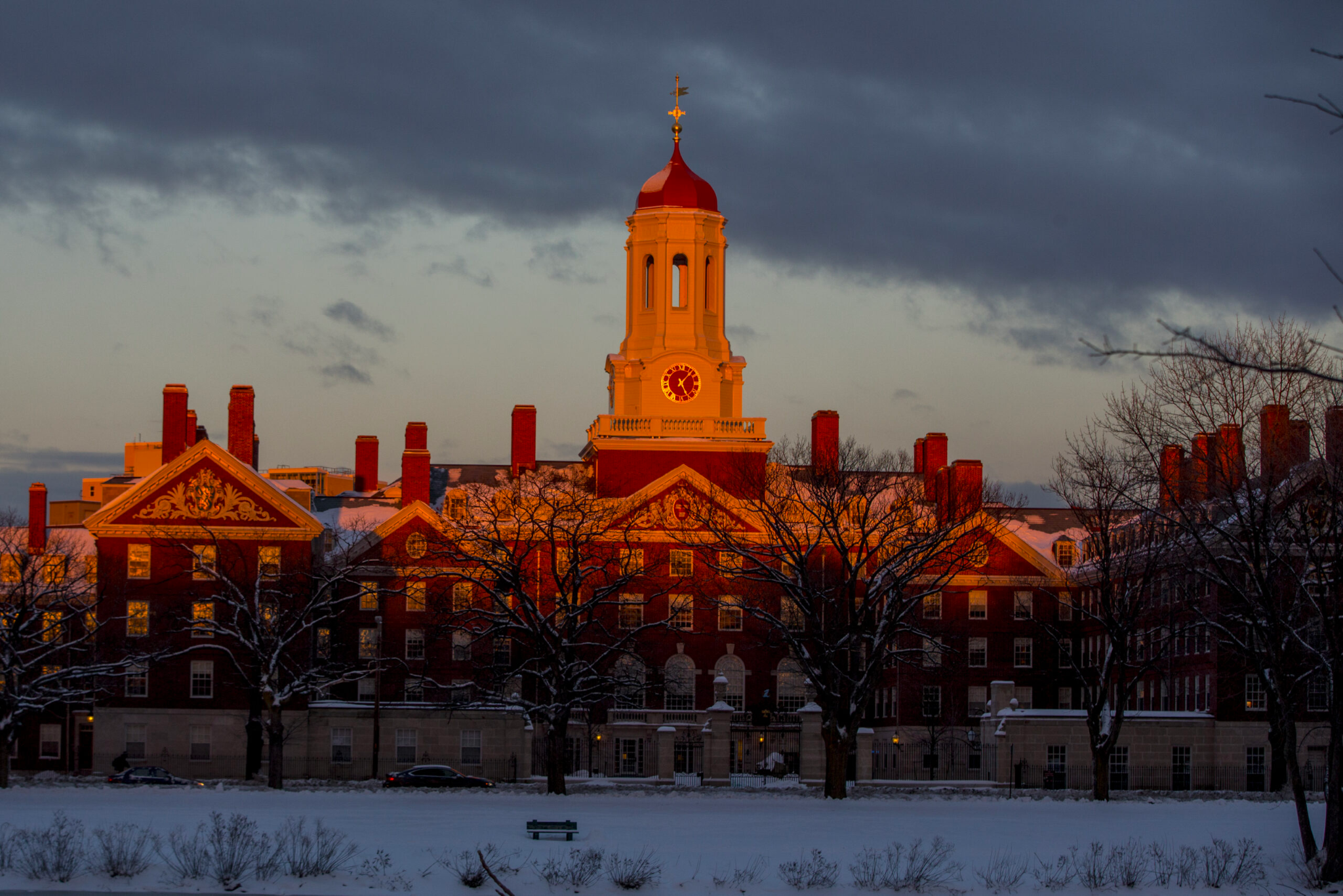 Harvard University